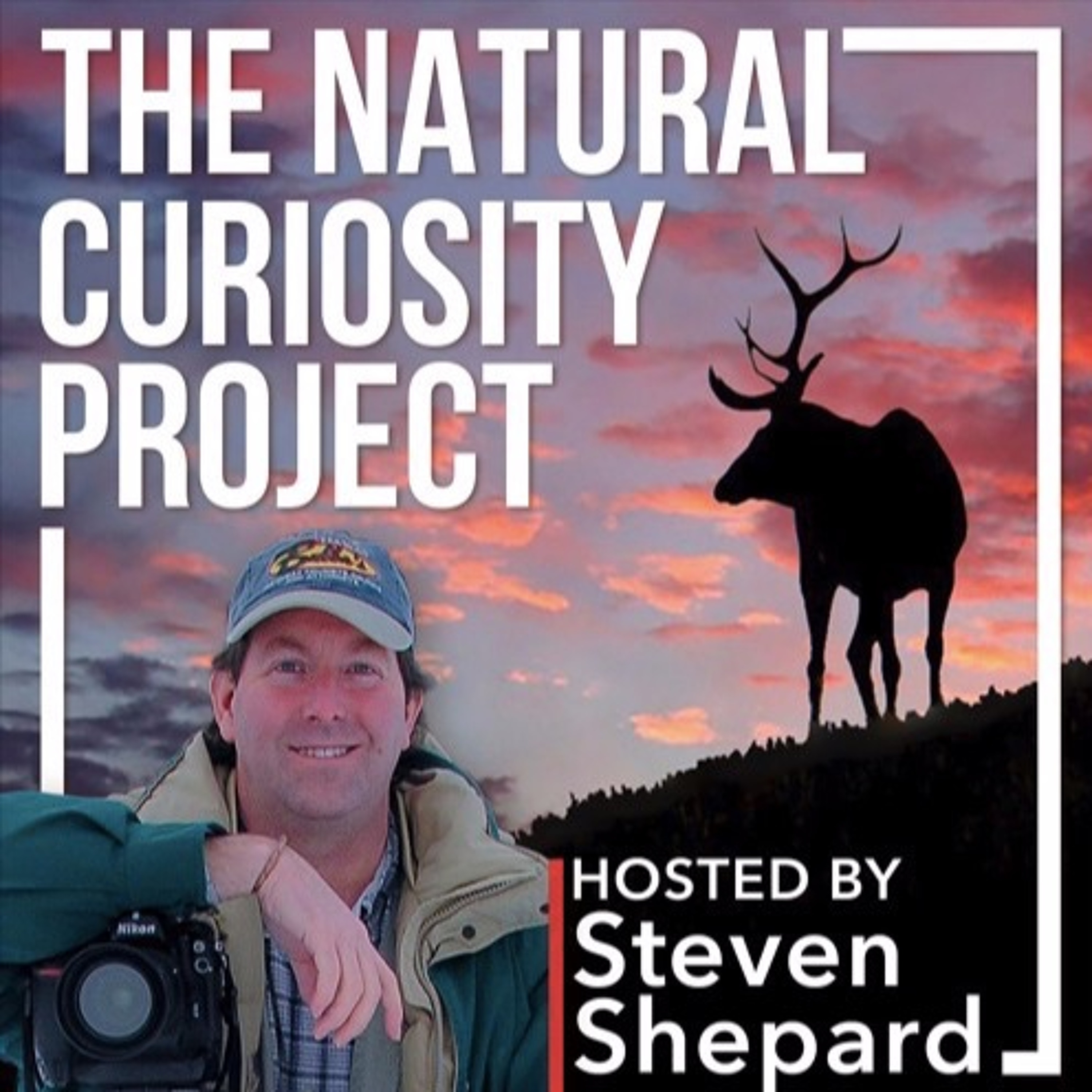 The Natural Curiosity Project