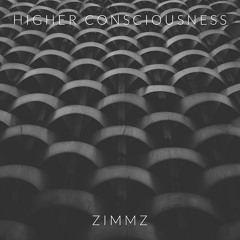 Zimmz - Higher Consciousness