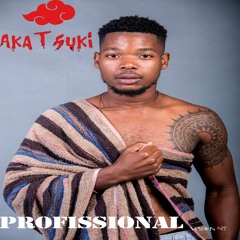 Mc Viril - Profissional