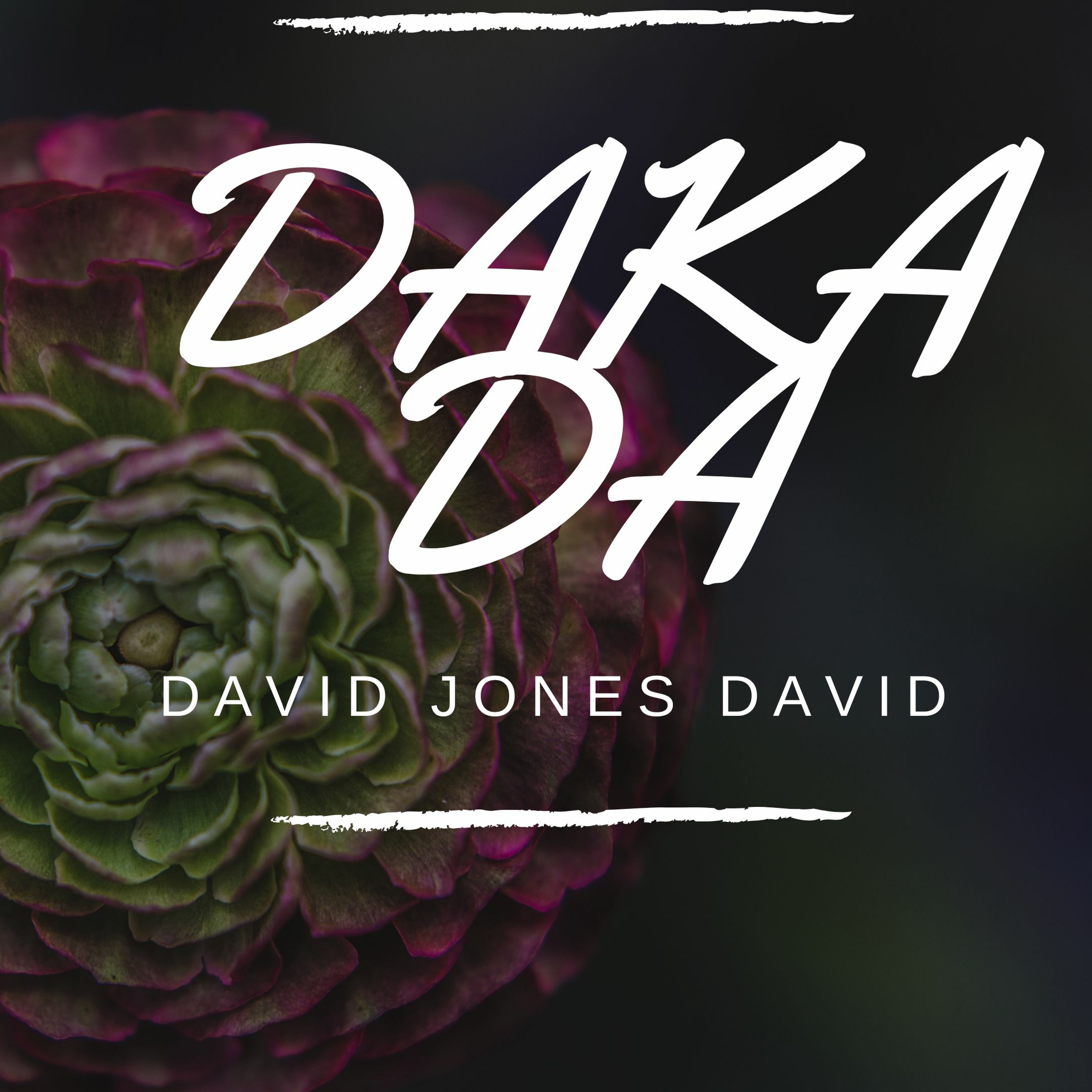 DAVID JONES DAVID (djd)