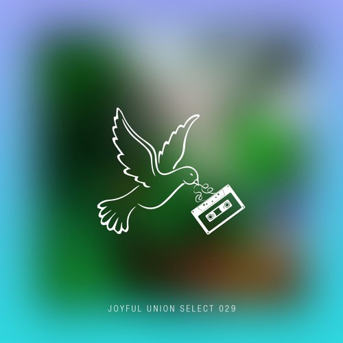 Joyful Union Select 029