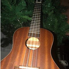 HOLY NIGHT Island style...tpalik cvr...