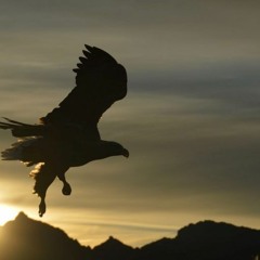 Eagle Rockabye, Drum Set Solo (original work)