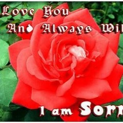 Sorry -Lil AyAre