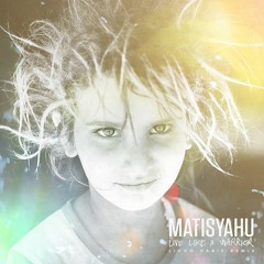 Matisyahu - Live Like a Warrior (Lindo Habie Remix)