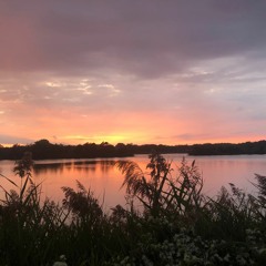 Strawberry kisses- StarrMillet