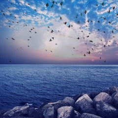 يالابس ثياب العرس وين العرس☹--_للسيد سلام الحسيني_(MP3_70K).mp3