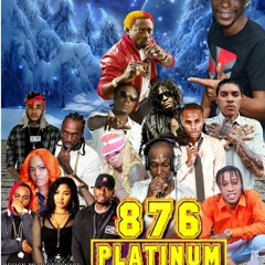 876 PLATINI�UM FIND IT XMAS- MIX
