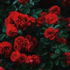 Changes Ft. ZwittaG(Prod. Stunnah)