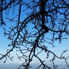 Nîzamettîn Arîç - Jîn û Hebûn