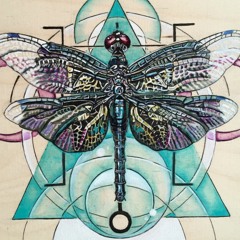 Dew Drop ~ Ecstatic Dance - Lila Familia ~ Metamorphosis ~ 05.11.19