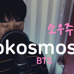 BTS - 소우주 (Mikrokosmos) cover