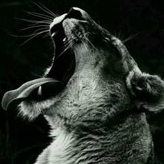 The Love Song 2019 end of the Year.