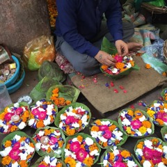 Research Network: More-Than-Human-Care | 2019-2020