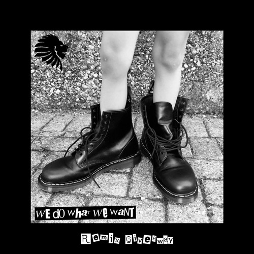 Alan Fitzpatrick - We Do What We Want (Rudosa Remix) - Free Download