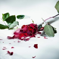 Just To Have You Love Me