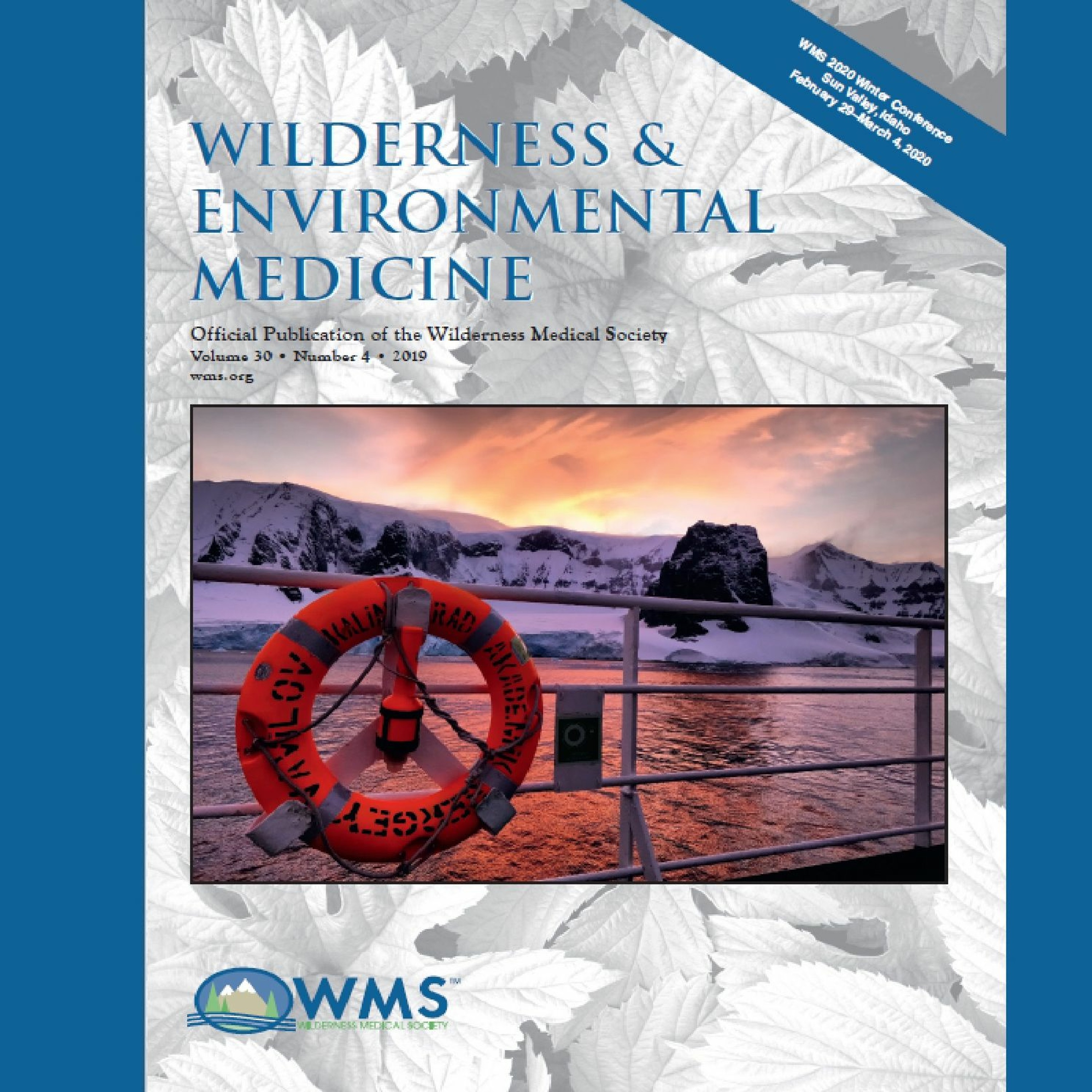 Wilderness Medicine Podcast