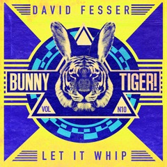 PREMIERE: David Fesser - Let It Whip (Original Mix) [Bunny Tiger]