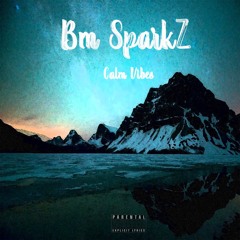 Bm Sparkz- CALM VIBES