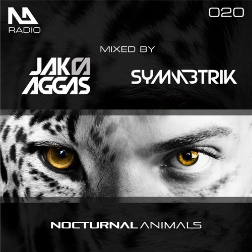 Stream Nocturnal Animals Guestmix by Symmetrik | Listen online for free on  SoundCloud