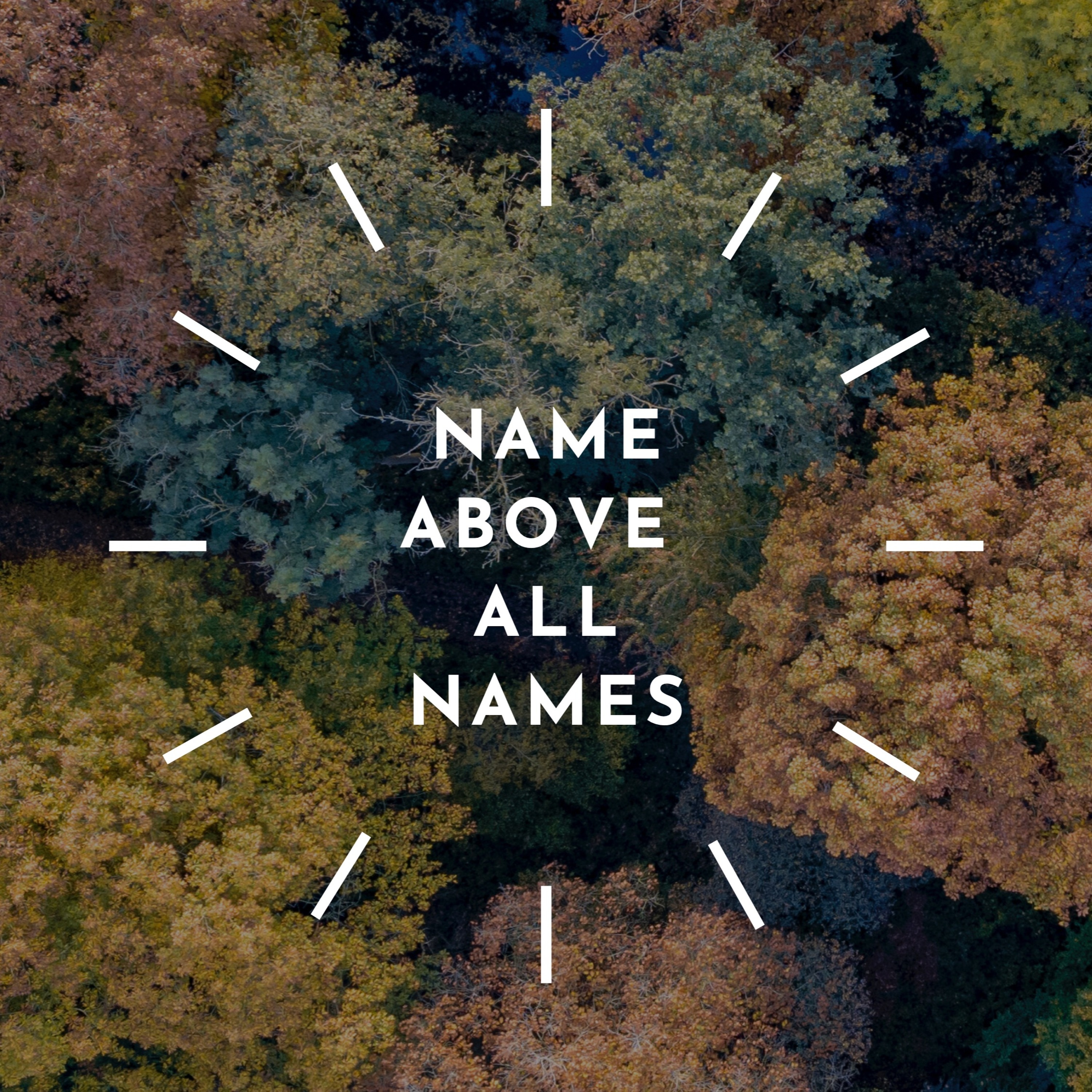 Name Above All Names: An Advent Series in Matthew - Son (Matthew 1:1 ) episode artwork
