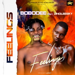 Bobodee  ft. Zinoleesky - Feelings