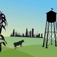 The Midwest as Place