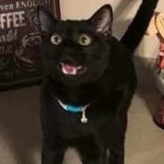 Freddegredde - Wind waker unplugged