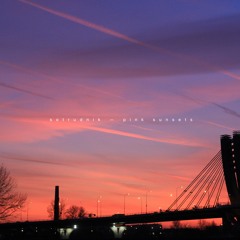 Sotrudnik™ – Pink Sunsets