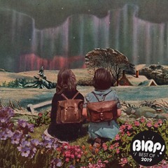 BIRP! Best of 2019