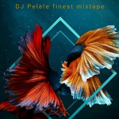 DJ Pelele Finest Mixtape VOL. 1