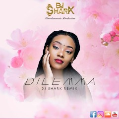 DJ Shark - Dilemma _French Kizomba Remix