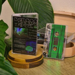 BST001 - V.A. - Bamboo Shows Tapes 001 (2019)