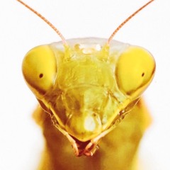 Things we love (Playlist with favourite Artists)