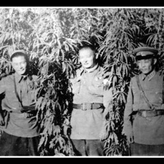 SMTHNGS BRWNG Jam *Uildver