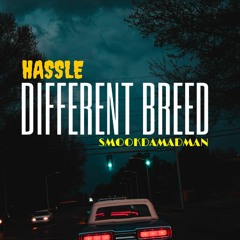 Hassle X SmookDaMadman- Different Breed
