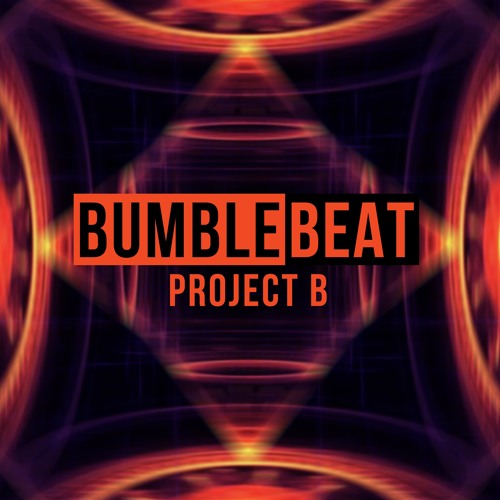 Project B