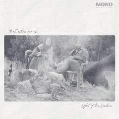 IF I FALL IN LOVE WITH YOU