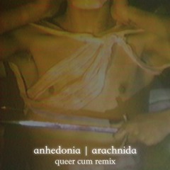 Arachnida - Anhedonia (Queer Cum Remix)