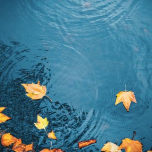 benson.lebatonrouge.fallendown(v.1.3)