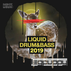 LIQUID DNB