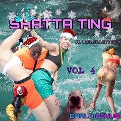 Shatta Ting 4