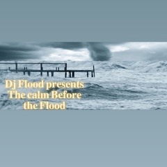 The Calm B4 The Flood