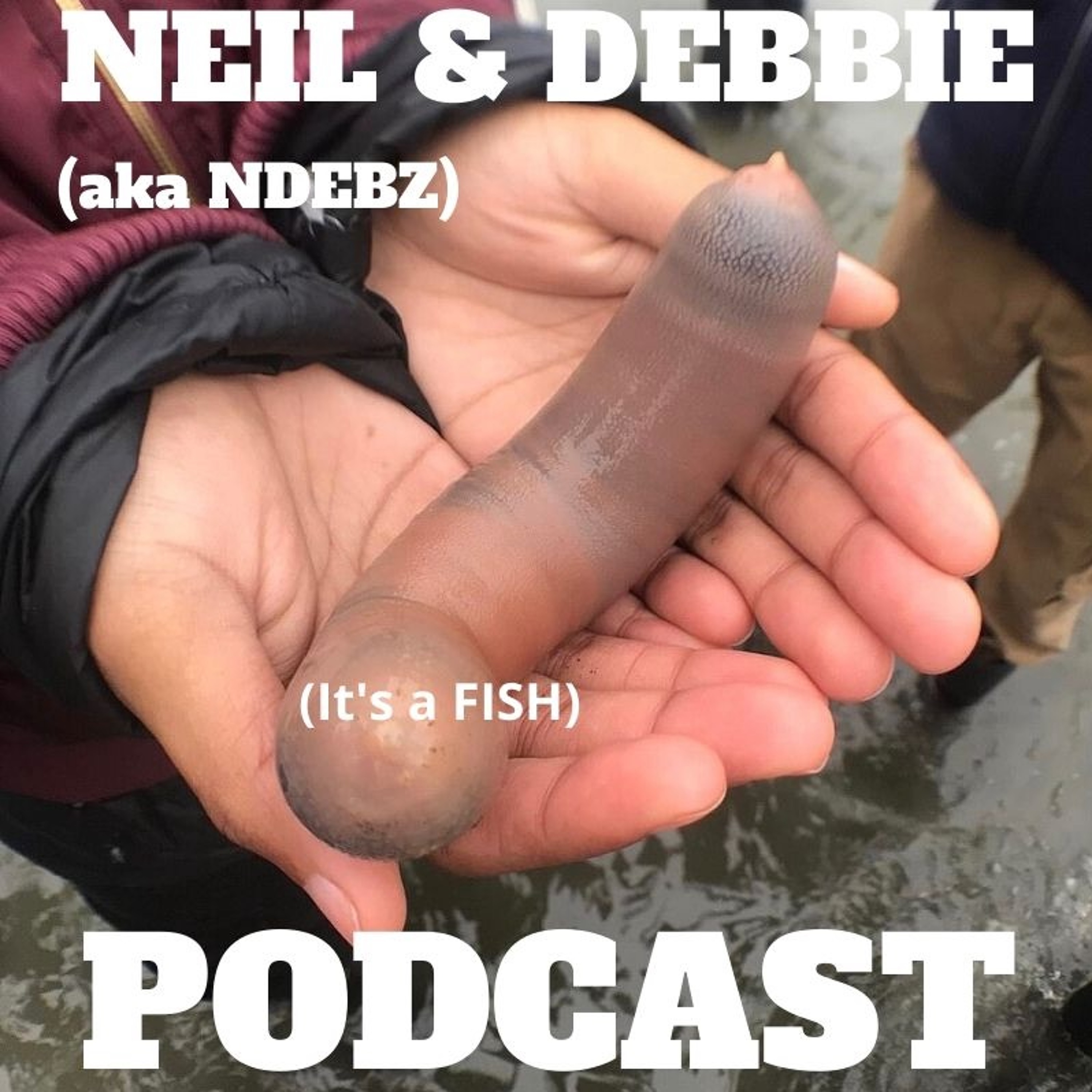 Neil & Debbie (aka NDEBZ)
