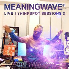 MEANINGWAVE LIVE | THINKSPOT SESSIONS 3 | Live DJ Mix
