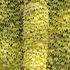 Exploring With Ernst, 18.12.2019