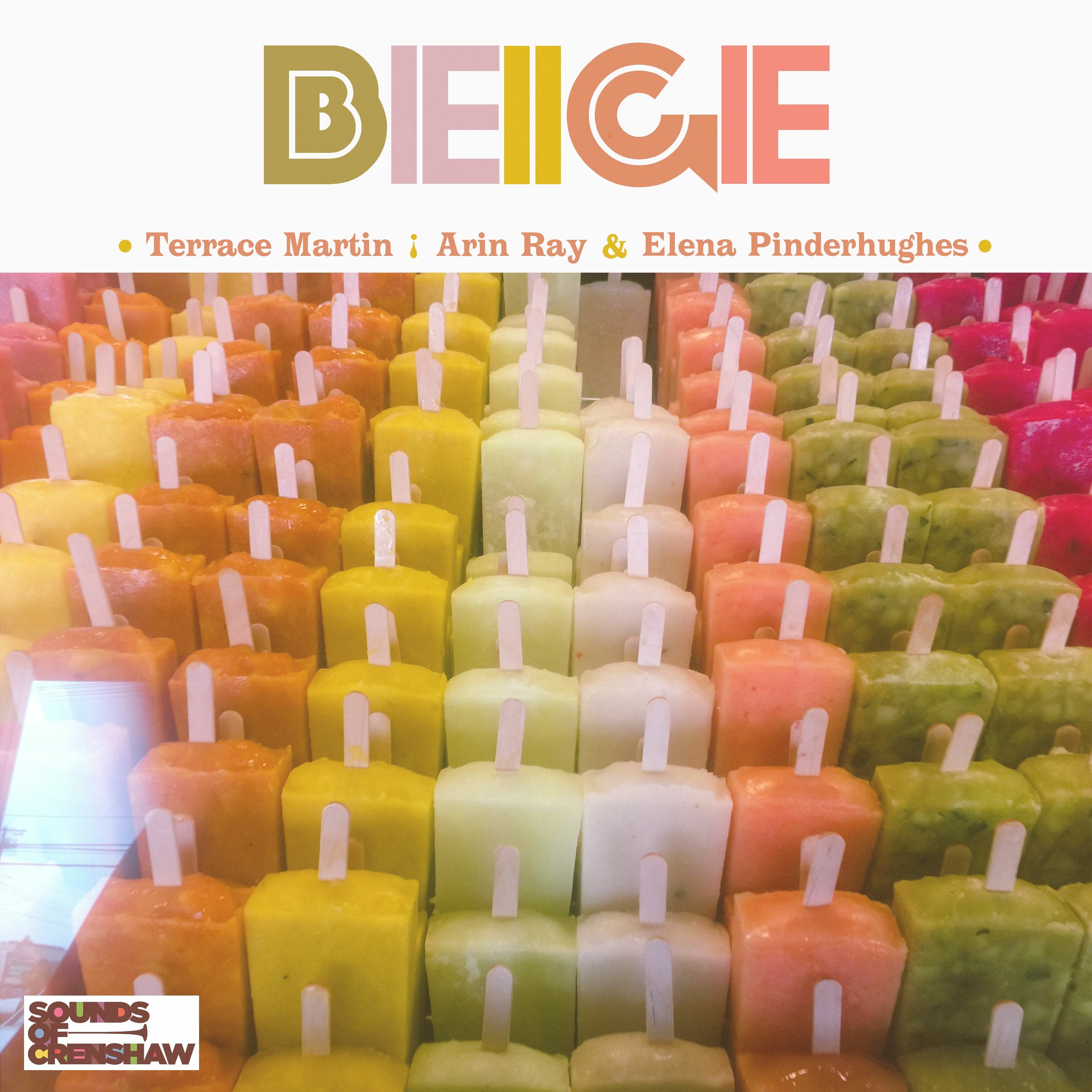 Terrace Martin