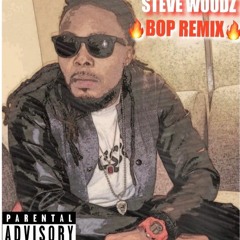 Steve Woodz- Bop (Remix)