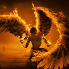 N!coletta - Hidden wings