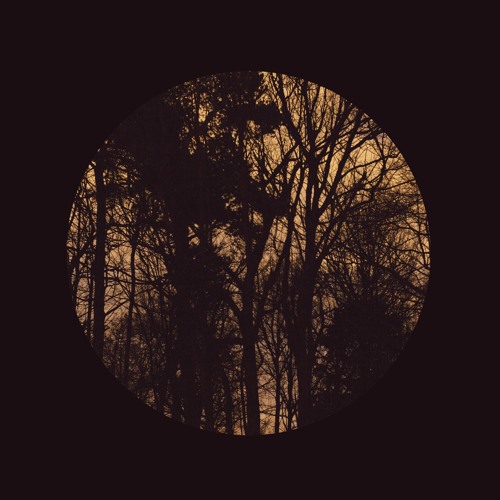 Premiere: Badskin - Underbridge